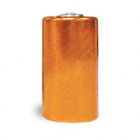 Pile alcaline PetSafe 6V