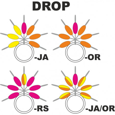 Streamline repères de lignes Garbolino DROP - Par 6