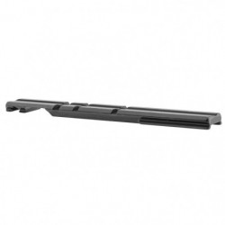 Rail prismatique EAW Pour...