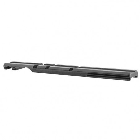 Rail prismatique EAW Pour Pivot holo - Rail 21 mm