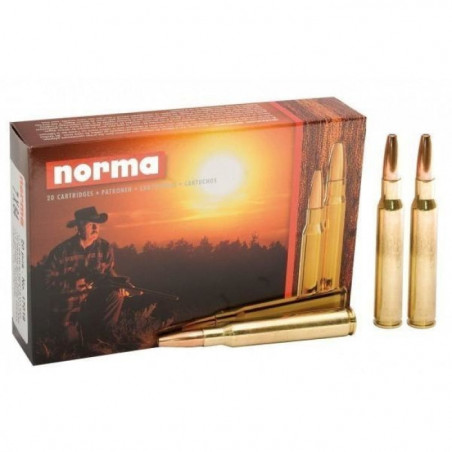 Balles Norma Barnes Triple-Shock - Cal. 375 HH
