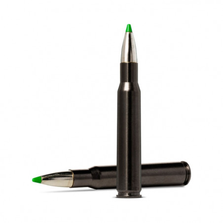 Balles Norma Ecostrike Silencer - Cal. 30-06 Spring