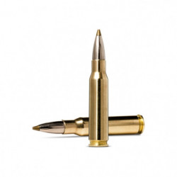Balles Norma Evostrike -...