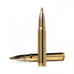 Balles Norma Evostrike -...