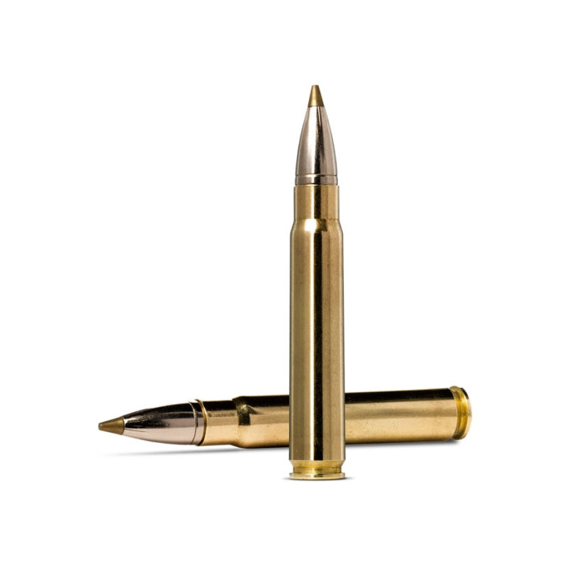 Balles Norma Evostrike - Cal. 9.3x62