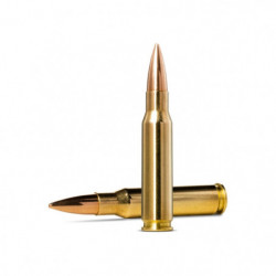 Balles Norma Golden Target...