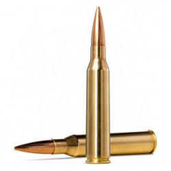 Balles Norma Golden Target...
