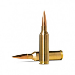 Balles Norma Golden Target...