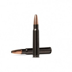 Balles Norma Oryx Silencer...