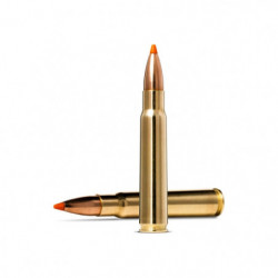 Balles Norma Tipstrike -...