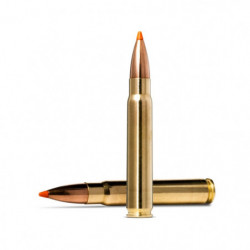 Balles Norma Tipstrike -...
