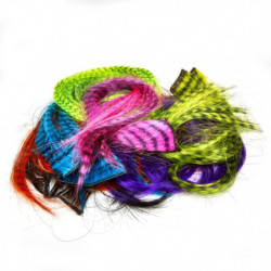 Fibre MDC Zebra