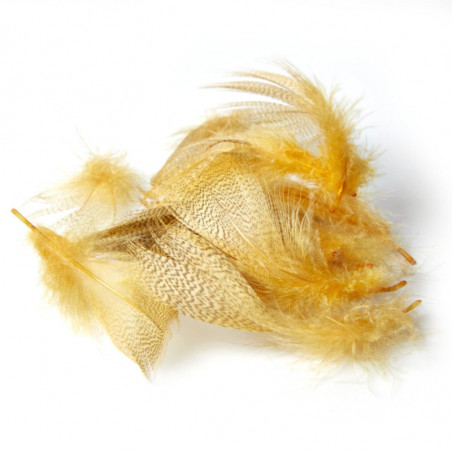 Flanc de canard d'été MDC