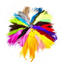 Hackle Stream MDC