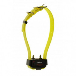 Kit Collier d'éducation Num'Axes Canicom - 300m