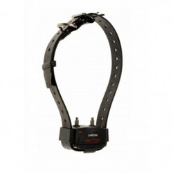 Kit Collier d'éducation Num'Axes Canicom - 800m