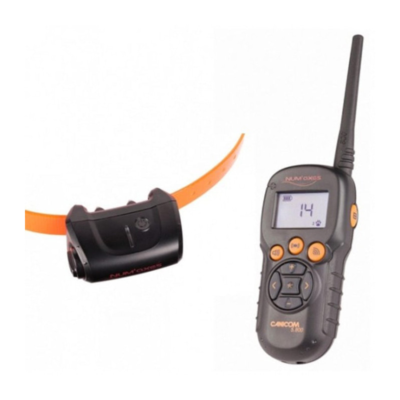 Kit Collier d'éducation Num'Axes Canicom 5 - 800m