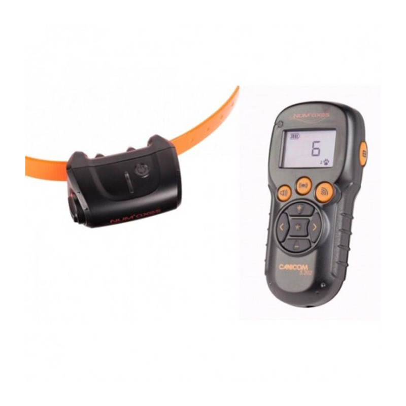 Kit Collier d'éducation Num'Axes Canicom 5-202 - 200m