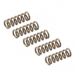 Kit de 5 ressorts de valves WE