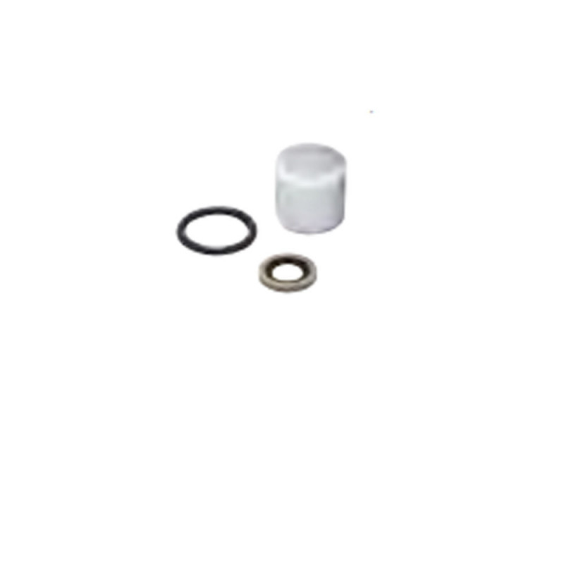 Kit de rechange filtre à air et joint pour pompe BSA