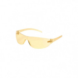 Lunettes de Protection ASG