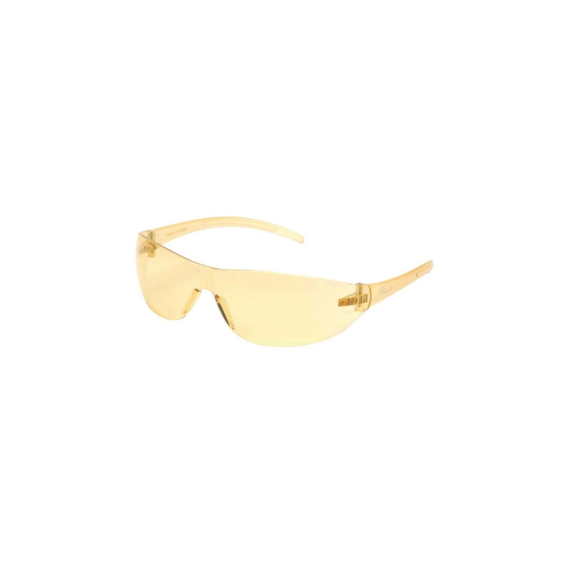 Lunettes de Protection ASG