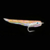 Mouche en mer MDC Gummy