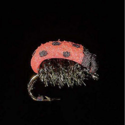 Mouche MDC Coccinelle