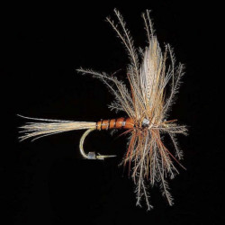 Mouche MDC Ephémère Eli