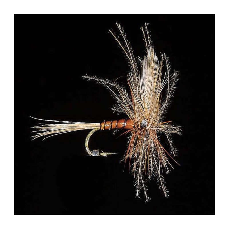 Mouche MDC Ephémère Eli