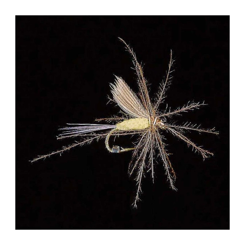 Mouche MDC Ephémère Ornan