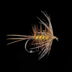 Mouche MDC Ephémère Panama P2