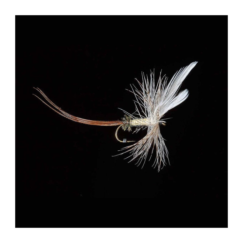 Mouche MDC Ephémère Panama P3