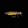 Mouche MDC Grande Perle