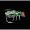 Mouche MDC Mouche noire