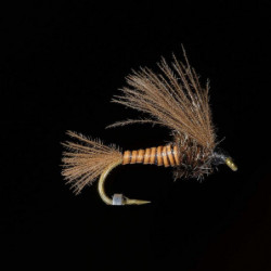 Mouche MDC Nymphe BM