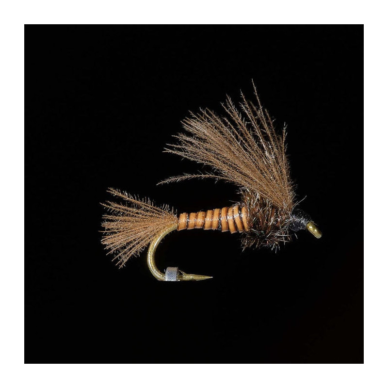 Mouche MDC Nymphe BM