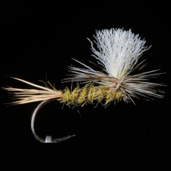 Mouche MDC Parachute
