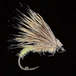 Mouche MDC Sedge -...