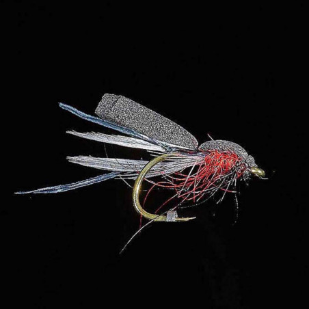 Mouche MDC Terrestre - Saint Marc