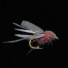 Mouche MDC Terrestre - Saint Marc