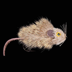 Mouche souris MDC