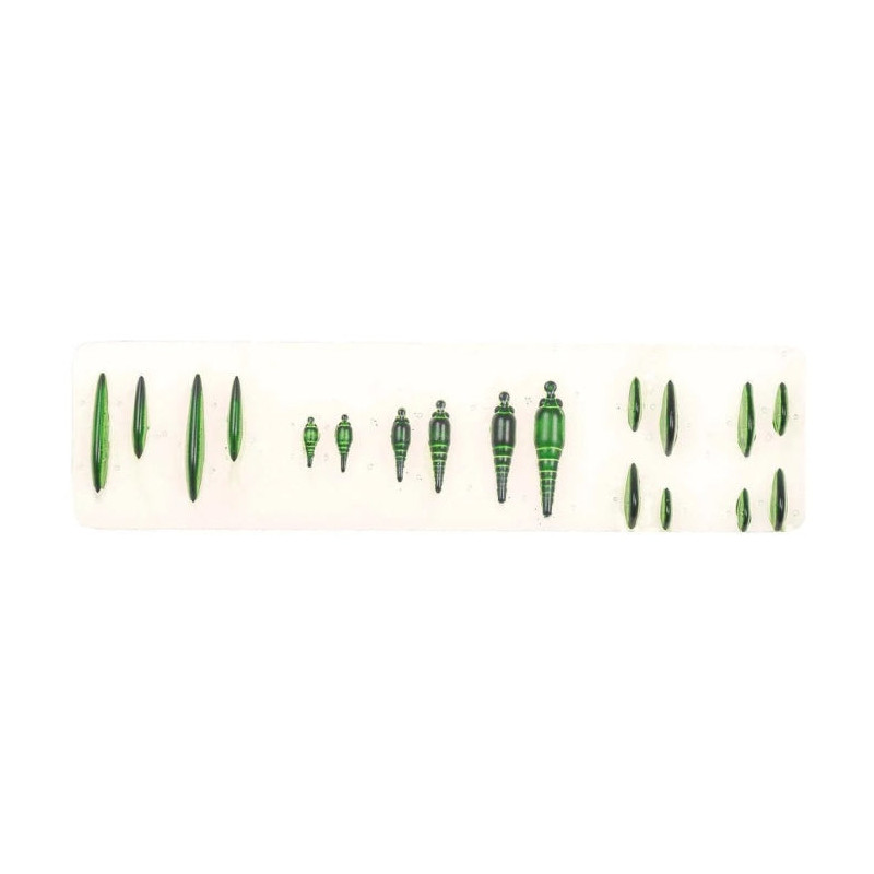 Moule MDC nymphes en résine UV