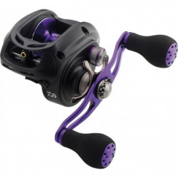 Moulinet Casting Daiwa...