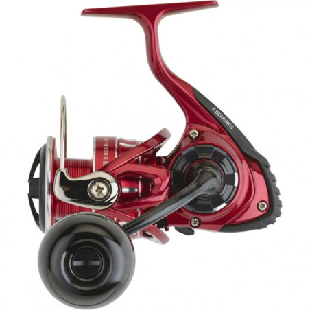 Moulinet Daiwa BG LT RR ARK