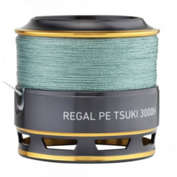 Moulinet Daiwa Regal PE Tsuki