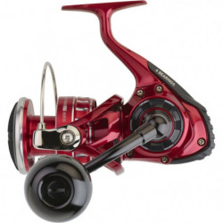 Moulinet Daiwa RR LT Ark