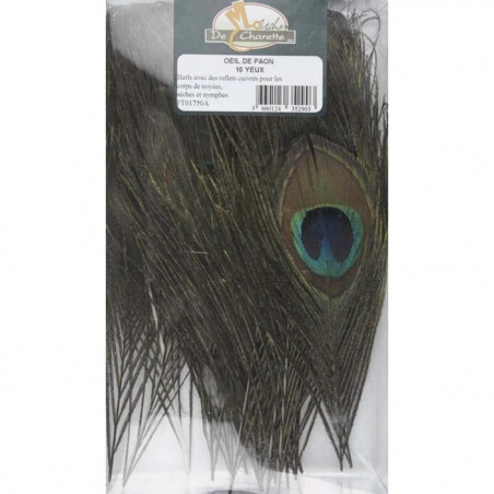 Oeil de paon MDC - Par 10