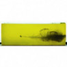 Ogive Federal Fusion - Cal. 270 WSM