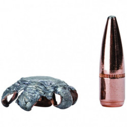Ogive Federal Fusion - Cal. 45-70 GVT